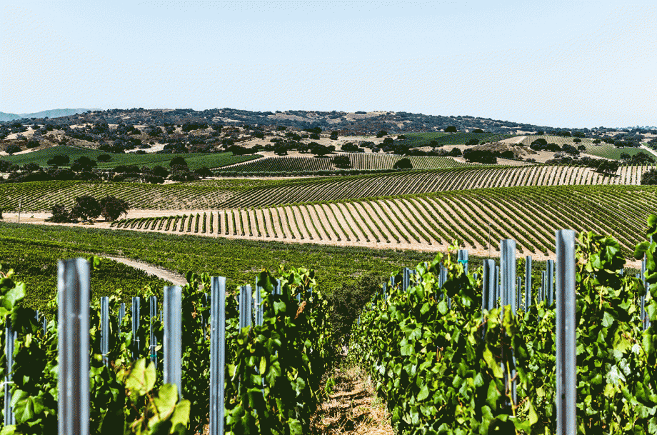 बैलार्ड कैनियन एवीए और वाइन की कोशिश करनी चाहिए...