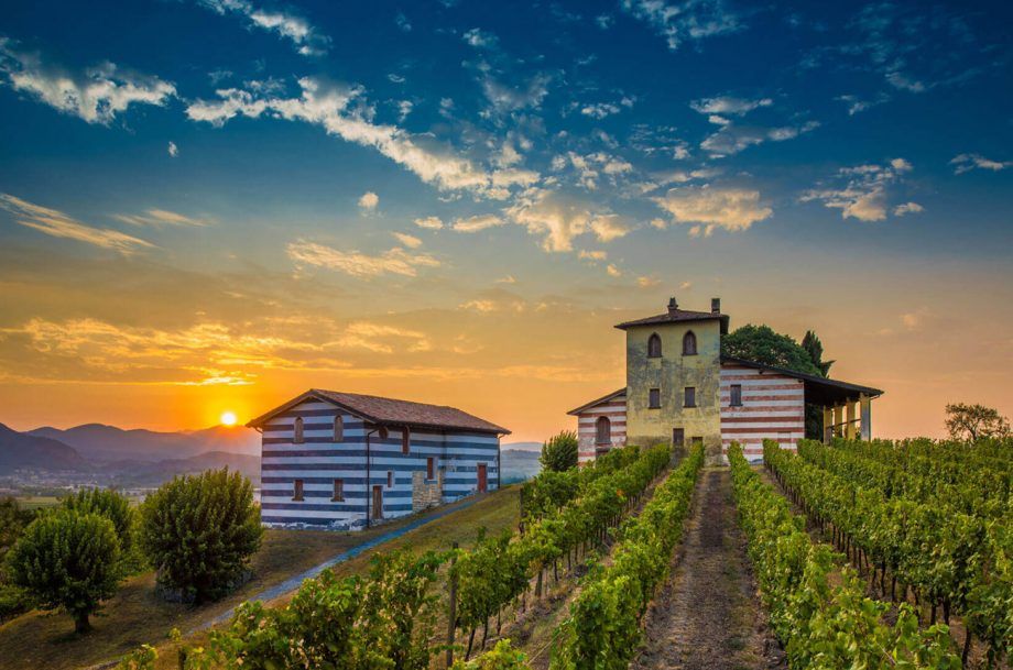 Berlucchi: Profilo del produttore più sei Franciacorta degustati...