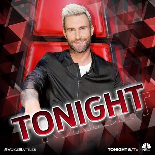 Sammanfattning The Voice 2016 15/15/16: Säsong 10, avsnitt 6