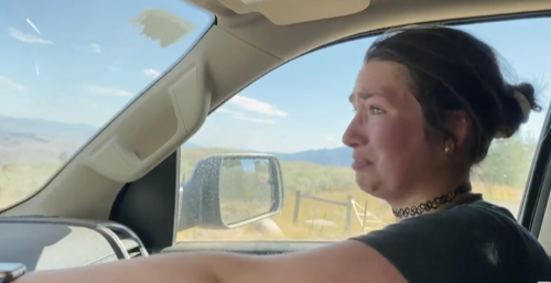 Resumen de la gente de Alaska Bush 10/04/20: Temporada 12 Episodio 8 The Land Giveths and Takeths