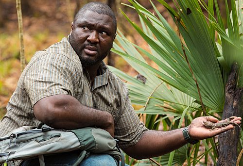 চিড়িয়াখানা সংক্ষিপ্তসার 7/14/15: সিজন 1 পর্ব 3 সিকাদাসের নীরবতা