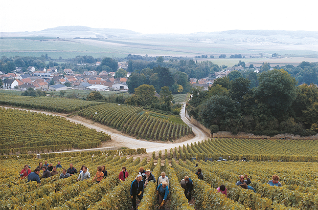 Šampanieša ceļvedis