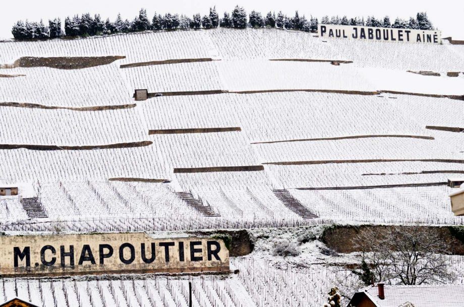 Ръководство на Ермитаж...