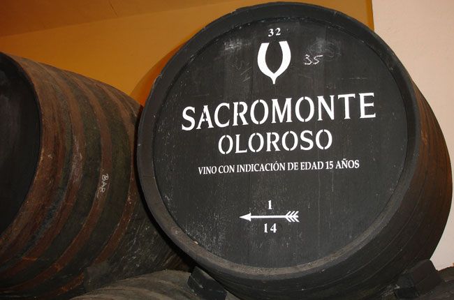 Nejlépe hodnocené Oloroso Sherry