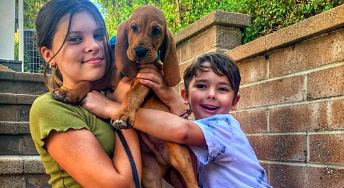 యంగ్ అండ్ రెస్ట్లెస్ స్పాయిలర్స్: మిచెల్ స్టాఫోర్డ్ కొత్త కుటుంబ సభ్యుడిని దత్తత తీసుకున్నారు - Y&R ఫ్యాన్స్ రియాక్ట్