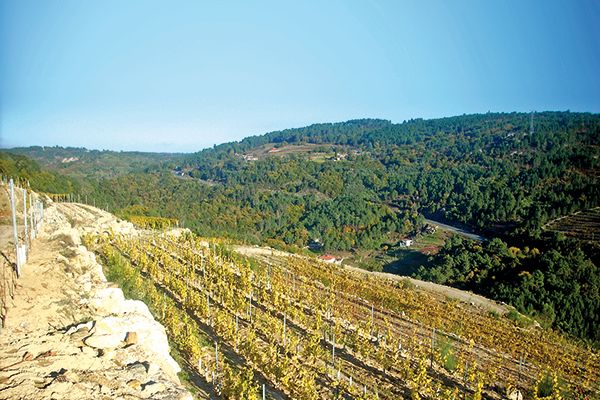 Decanter útikalauz: Galícia, Spanyolország...