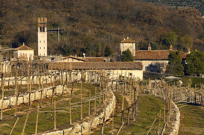 Profilo del produttore: Allegrini...