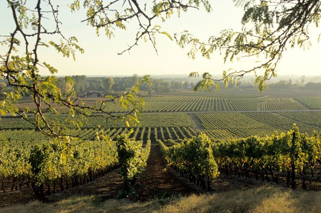 HELLIGE KROSER AV BERGET