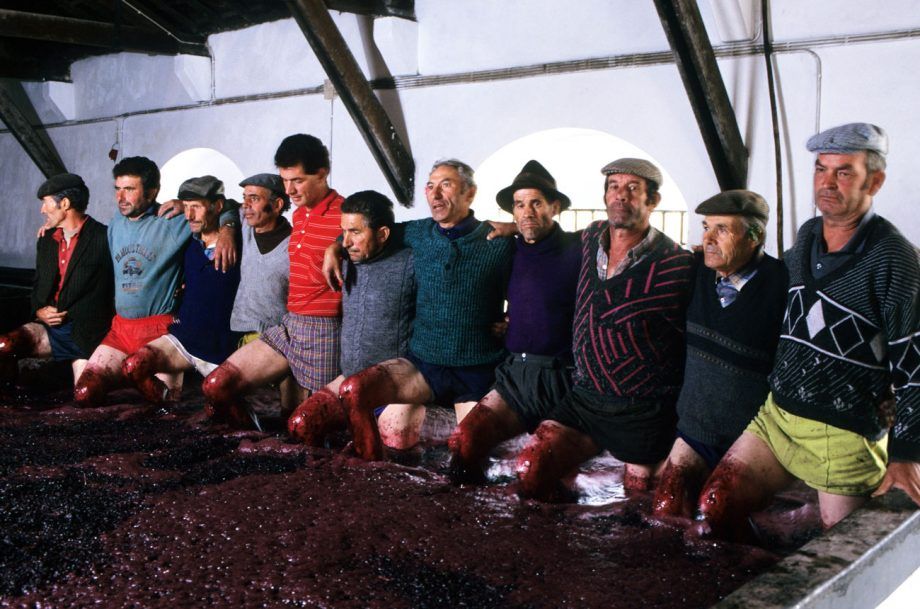 คู่มือ Port Vintage