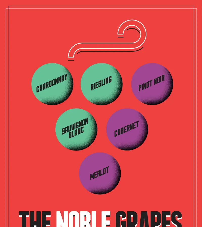 6 племенитих грожђа