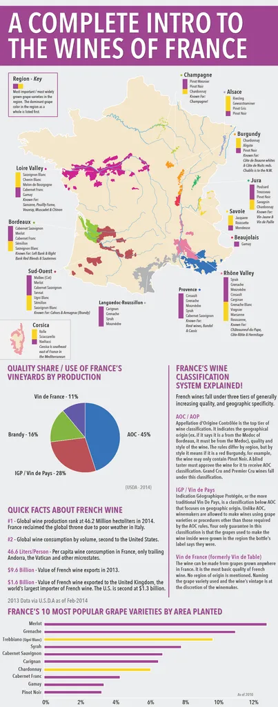מדריך מבוא מלא ליינות צרפת