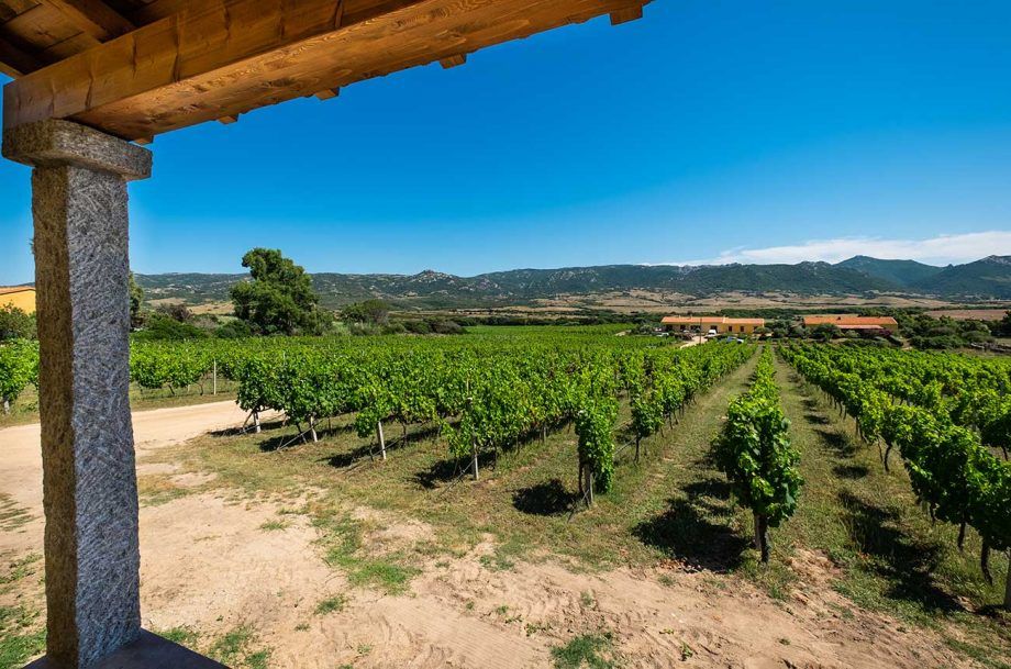 Propriété: Domaine viticole rural en Sardaigne à vendre...