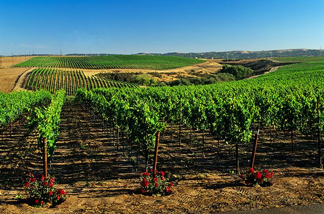 சாண்டா பார்பரா பயண வழிகாட்டி