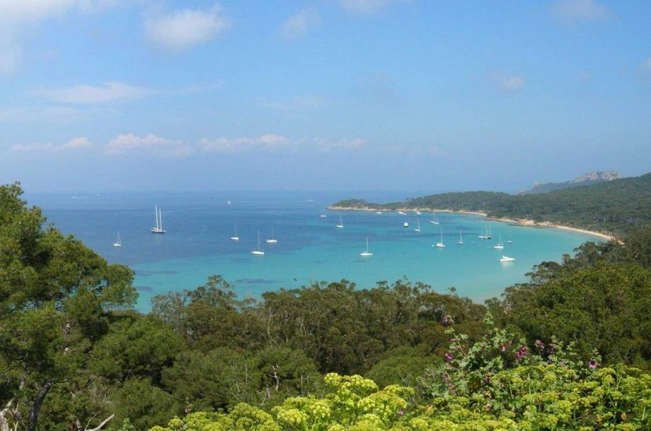 Chanel, aby sa po zakúpení vinárstva vytvorila ružová Provence...