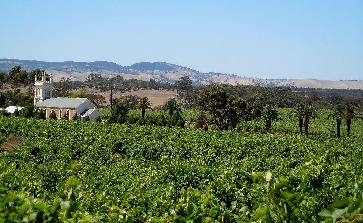 Torbreck kupuje najlepszą winnicę w Barossie...