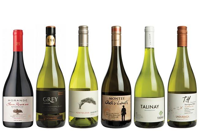 Degustación de panel de sauvignon blanc chileno