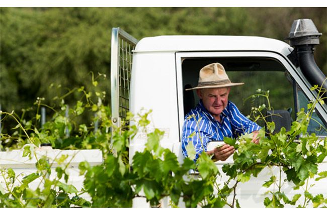 Assyrtiko australiano