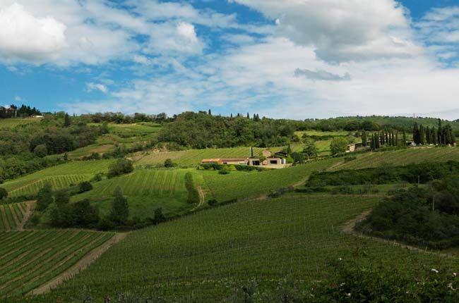 Querciabella: profilul producătorului...