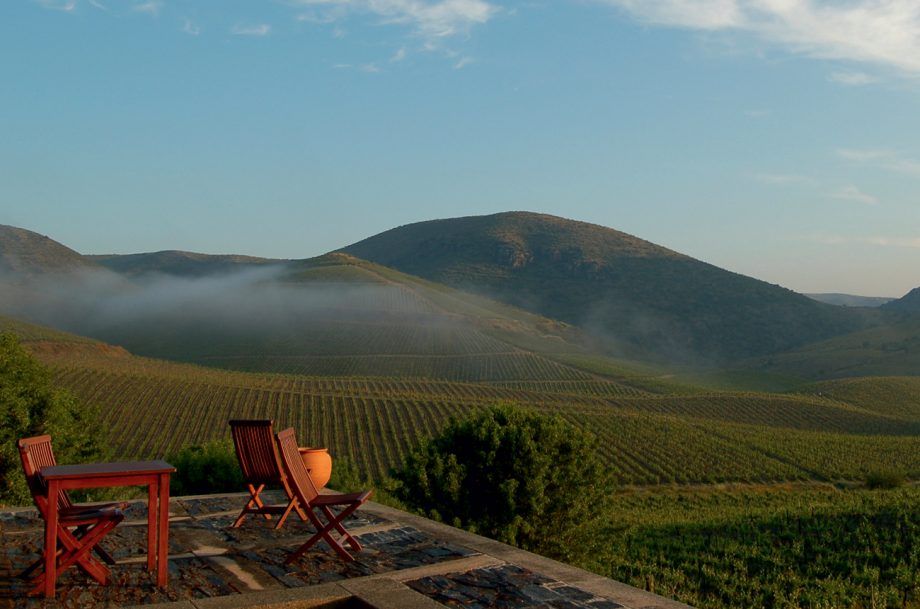 The Douro: Evolúcia plus 20 špičkových vín, ktoré stojí za to vyhľadať...