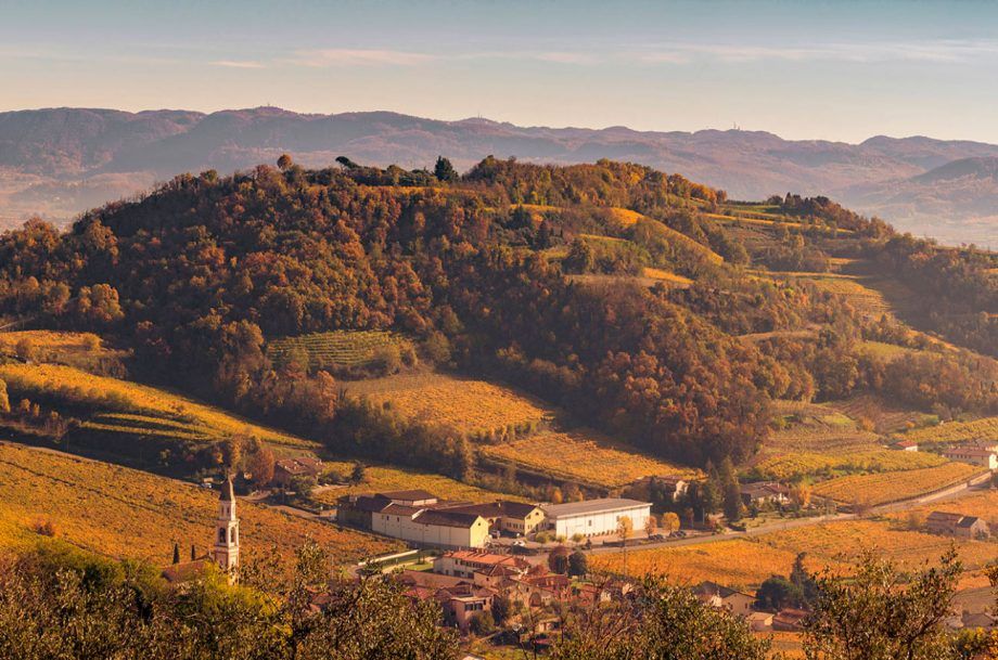 Colli Berici: छह को खोजने के लिए...