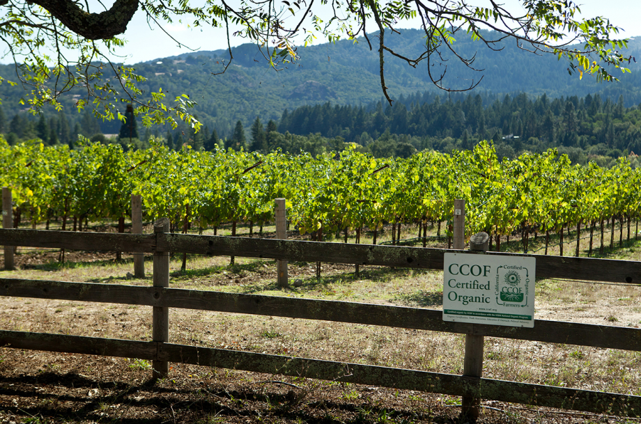 Napa Organic Vinprodusenter