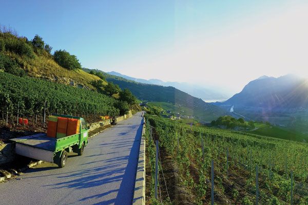 Decanter यात्रा गाइड: Valais, स्विट्जरलैंड...