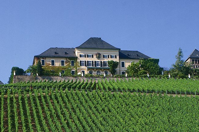 Test de vinuri germane