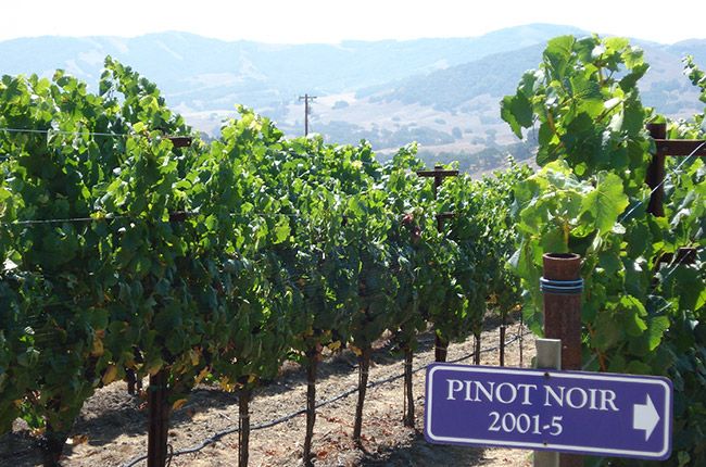 Kalifornien Wein Road Trip