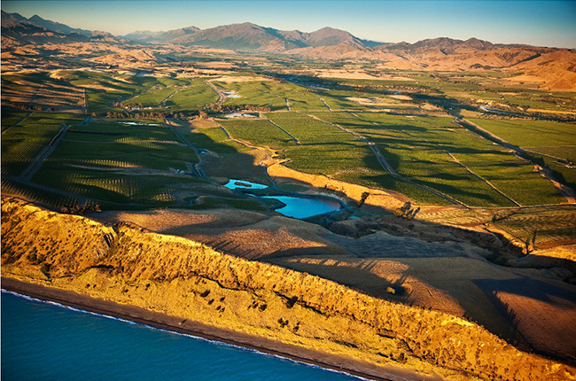 Yealands Sauvignon Blanc