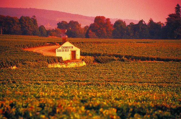 میسن لوئس جڈوت چیمبرٹن کلوس ڈی بےزے